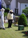 Klicken Sie auf das Bild, um es zu vergr&ouml;&szlig;ern